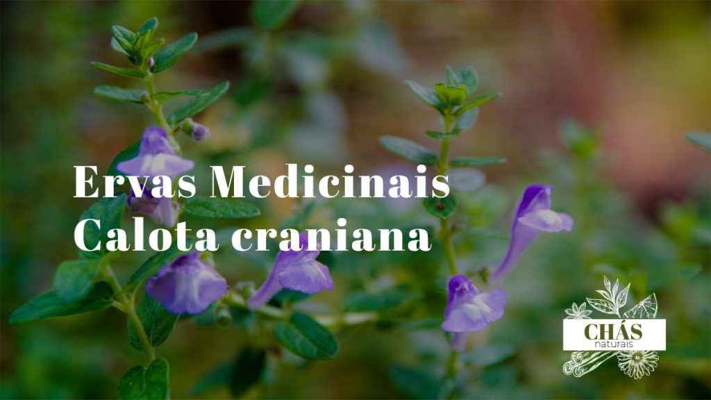 Calota craniana
