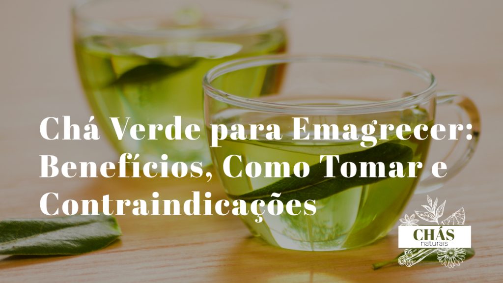 Chá Verde para Emagrecer: Benefícios, Como Tomar e Contraindicações