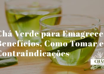 Chá Verde para Emagrecer: Benefícios, Como Tomar e Contraindicações