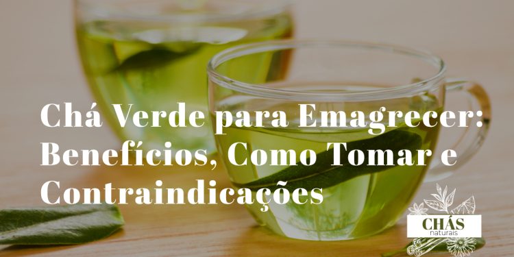 Chá Verde para Emagrecer: Benefícios, Como Tomar e Contraindicações