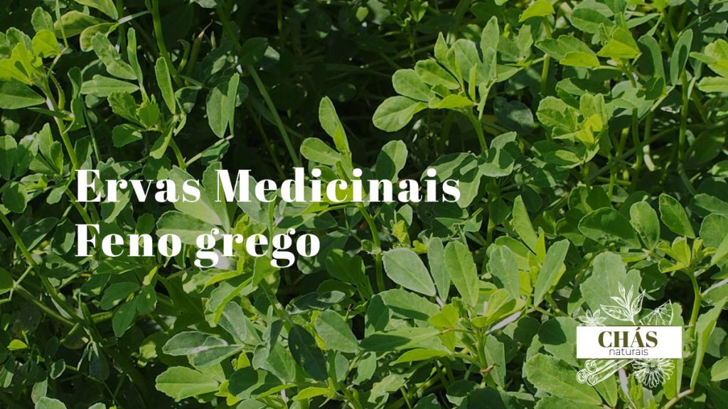 Feno-grego