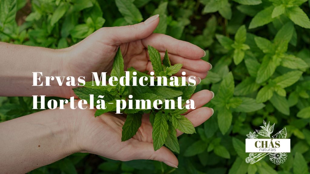 Hortelã-pimenta