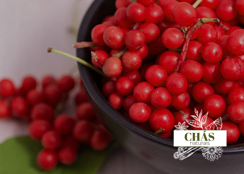 Schisandra Berry