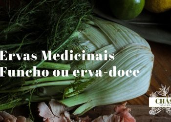 funcho benefícios — sementes e flores de Foeniculum vulgare