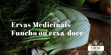 funcho ou erva-doce