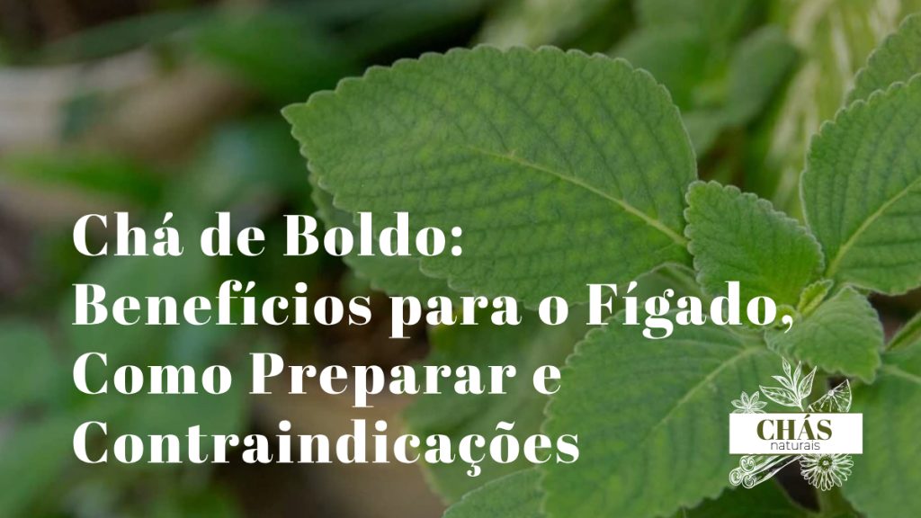 Chá de Boldo: Benefícios para o Fígado, Como Preparar e Contraindicações
