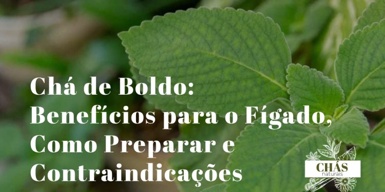 Chá de Boldo: Benefícios para o Fígado, Como Preparar e Contraindicações