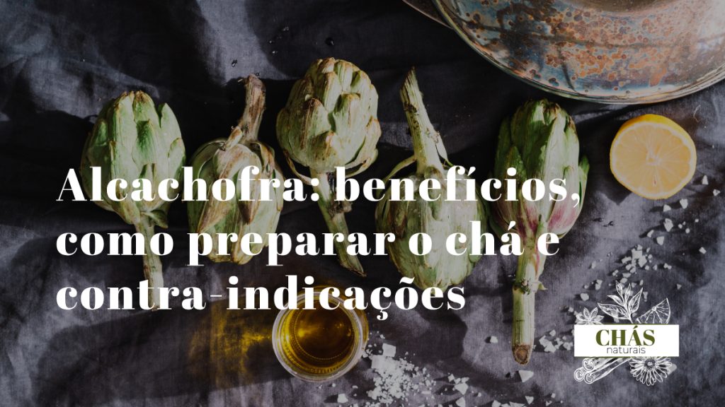 alcachofra benefícios — folhas de alcachofra para chá medicinal