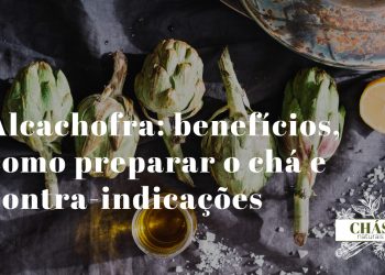 alcachofra benefícios — folhas de alcachofra para chá medicinal
