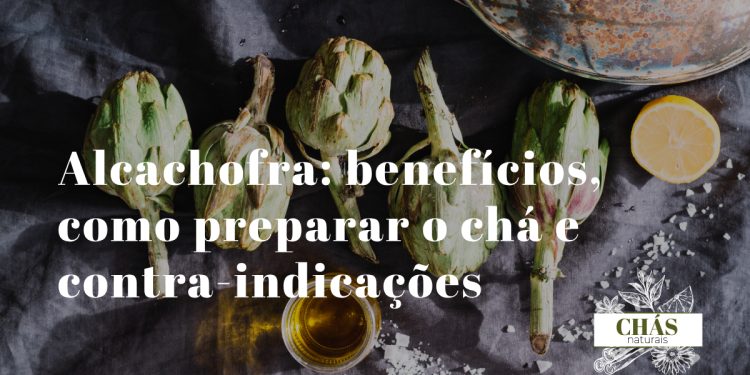 alcachofra benefícios — folhas de alcachofra para chá medicinal
