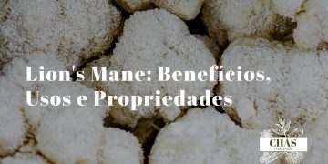 lion's mane benefícios — cogumelo Hericium erinaceus branco