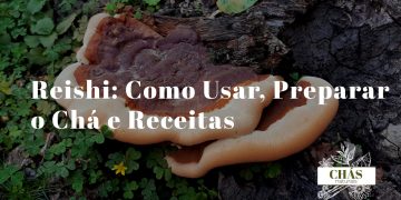 reishi como usar — cogumelo Ganoderma lucidum seco e em pó