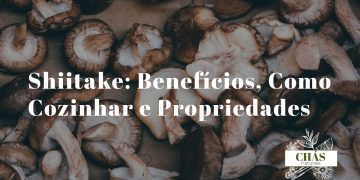 shiitake benefícios — cogumelos shiitake frescos Lentinula edodes