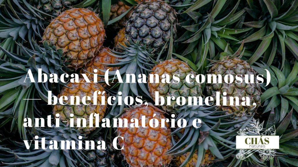 abacaxi benefícios — fruto fresco de Ananas comosus cortado a mostrar a polpa amarela