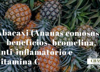 abacaxi benefícios — fruto fresco de Ananas comosus cortado a mostrar a polpa amarela
