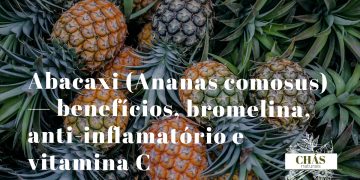 abacaxi benefícios — fruto fresco de Ananas comosus cortado a mostrar a polpa amarela