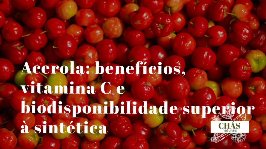 acerola benefícios — frutos vermelhos de Malpighia emarginata maduros na planta