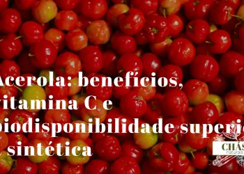 acerola benefícios — frutos vermelhos de Malpighia emarginata maduros na planta