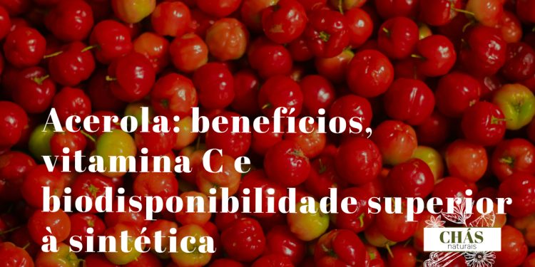 acerola benefícios — frutos vermelhos de Malpighia emarginata maduros na planta