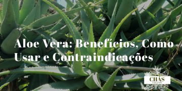 aloe vera benefícios — folhas abertas de aloe vera com gel transparente e planta em vaso
