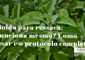 boldo para ressaca — chávena de chá de boldo com folhas frescas de boldo-do-chile