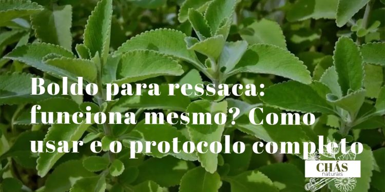 boldo para ressaca — chávena de chá de boldo com folhas frescas de boldo-do-chile