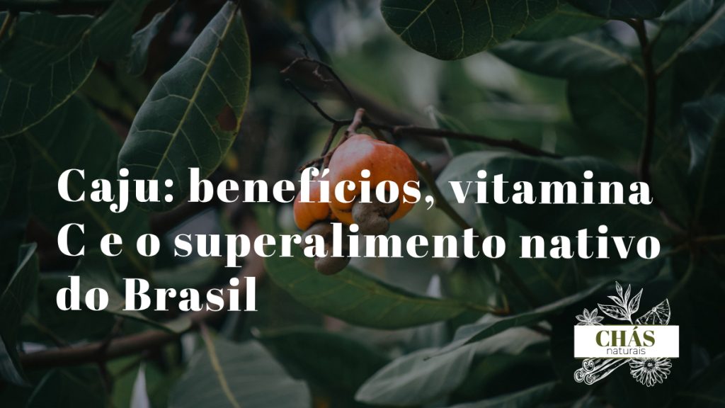 caju benefícios — pseudofruto de Anacardium occidentale amarelo com castanha no exterior