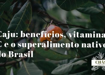 caju benefícios — pseudofruto de Anacardium occidentale amarelo com castanha no exterior