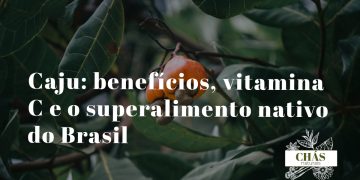 caju benefícios — pseudofruto de Anacardium occidentale amarelo com castanha no exterior