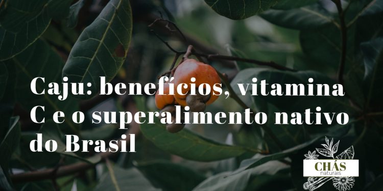 caju benefícios — pseudofruto de Anacardium occidentale amarelo com castanha no exterior