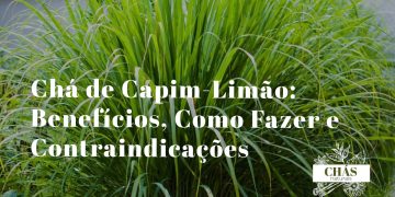 chá de capim-limão benefícios — folhas longas de Cymbopogon citratus capim-santo numa chávena