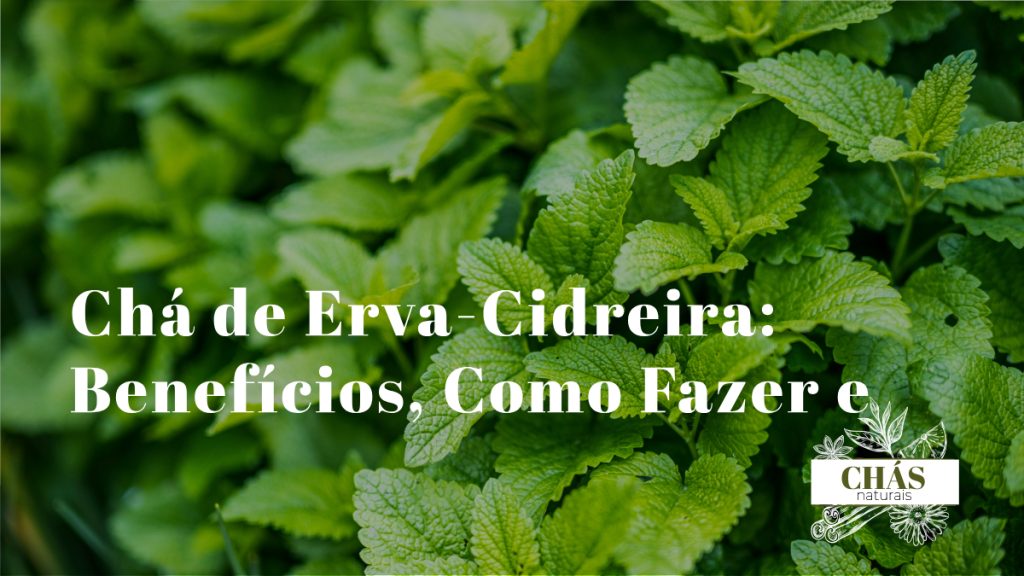 chá de erva-cidreira benefícios — chávena de chá com folhas frescas de melissa Melissa officinalis