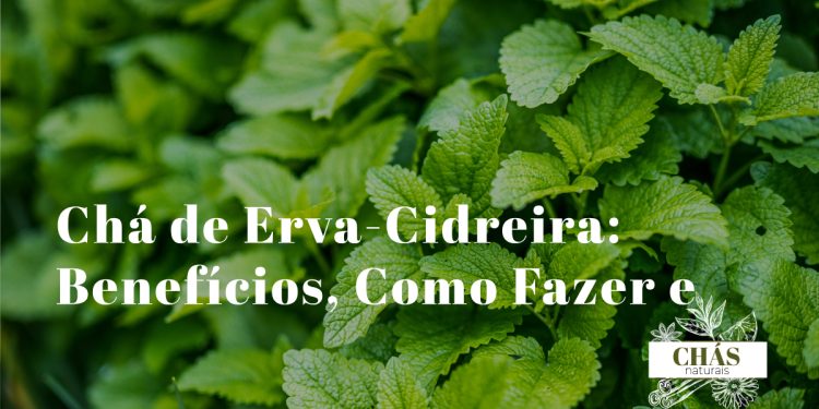 chá de erva-cidreira benefícios — chávena de chá com folhas frescas de melissa Melissa officinalis