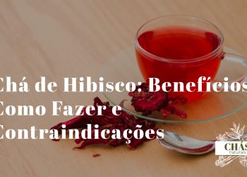 chá de hibisco benefícios — chávena com chá de hibisco vermelho intenso e flores secas