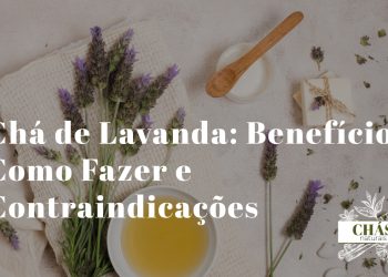 chá de lavanda benefícios — chávena de chá com flores de lavanda secas e frescas em fundo provençal