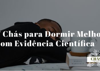 chás para dormir melhor — chávena de chá calmante com ervas medicinais noturnas