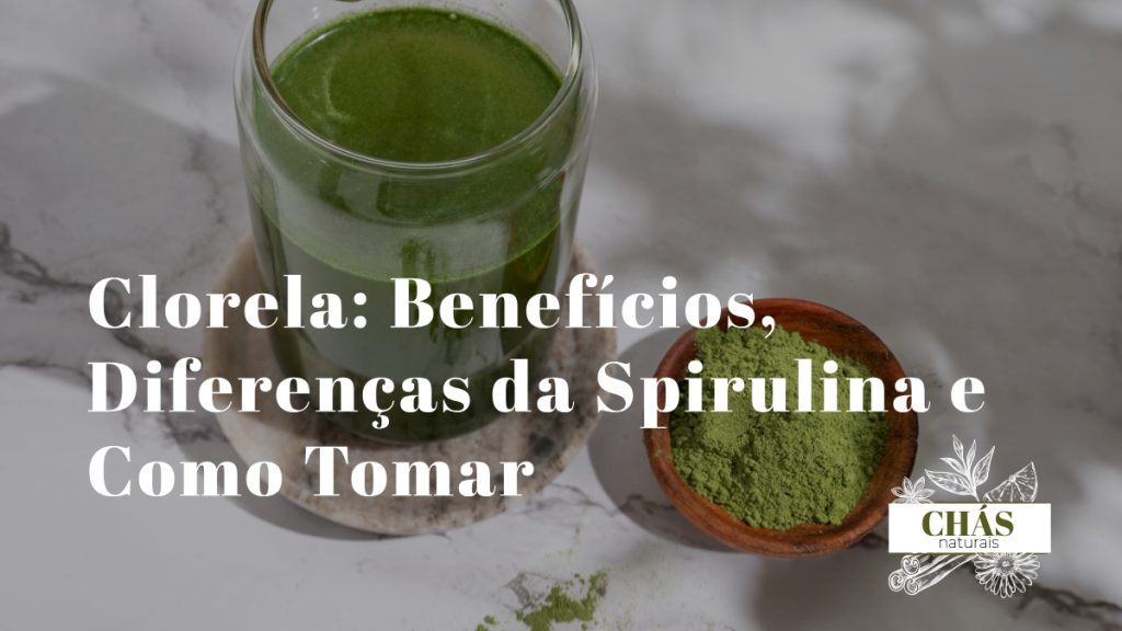 clorela benefícios — comprimidos e pó verde de clorela com folha de clorela ao microscópio