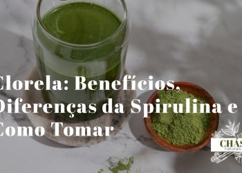 clorela benefícios — comprimidos e pó verde de clorela com folha de clorela ao microscópio
