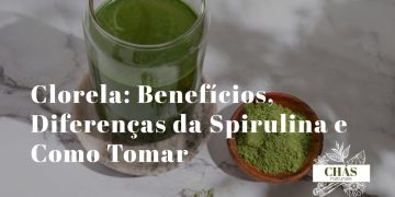 clorela benefícios — comprimidos e pó verde de clorela com folha de clorela ao microscópio