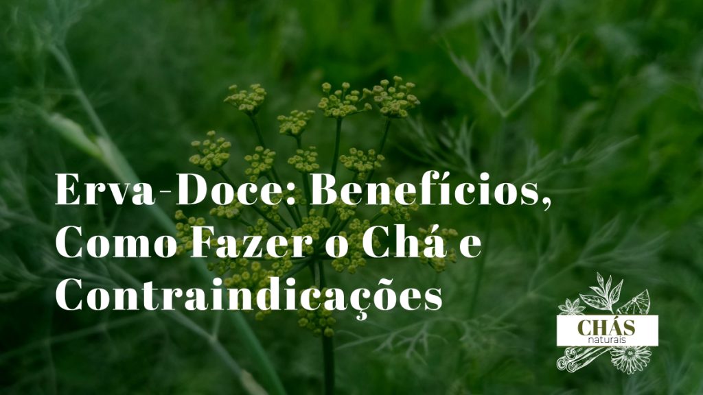 erva-doce benefícios — sementes e planta de funcho Foeniculum vulgare com chávena de chá