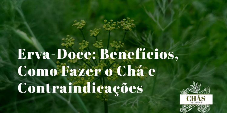erva-doce benefícios — sementes e planta de funcho Foeniculum vulgare com chávena de chá