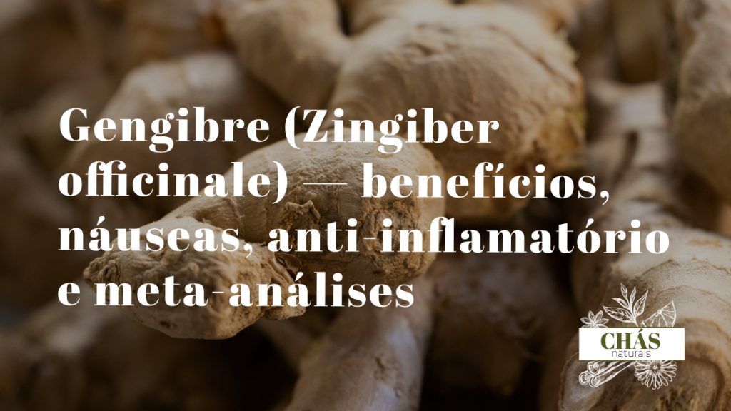 gengibre benefícios — rizoma fresco de Zingiber officinale cortado a mostrar o interior amarelo