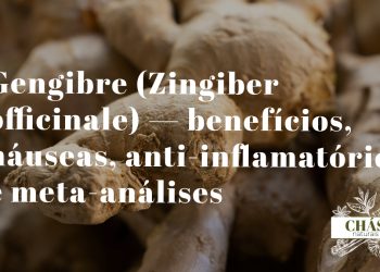 gengibre benefícios — rizoma fresco de Zingiber officinale cortado a mostrar o interior amarelo