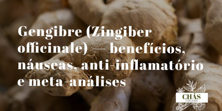 gengibre benefícios — rizoma fresco de Zingiber officinale cortado a mostrar o interior amarelo