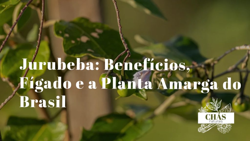 jurubeba benefícios — arbusto Solanum paniculatum com frutos amarelados planta nativa brasileira