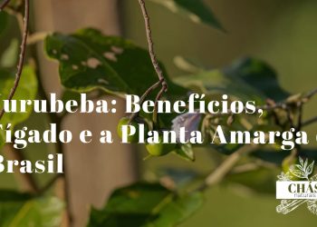 jurubeba benefícios — arbusto Solanum paniculatum com frutos amarelados planta nativa brasileira
