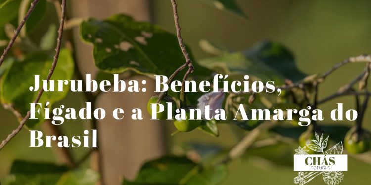 jurubeba benefícios — arbusto Solanum paniculatum com frutos amarelados planta nativa brasileira