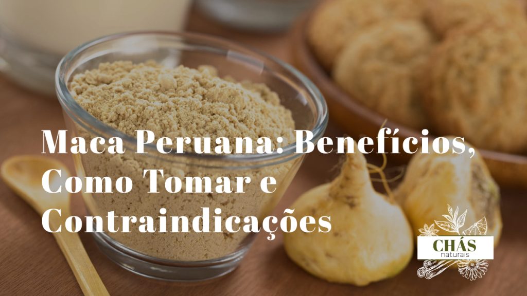 maca peruana benefícios — raiz e pó de maca peruana Lepidium meyenii andina