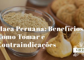 maca peruana benefícios — raiz e pó de maca peruana Lepidium meyenii andina