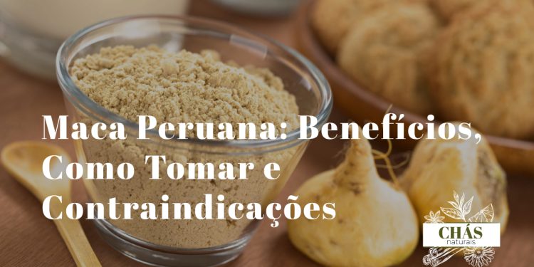 maca peruana benefícios — raiz e pó de maca peruana Lepidium meyenii andina